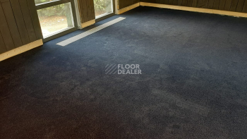 Innova Фризе 7079 фото 6 | FLOORDEALER